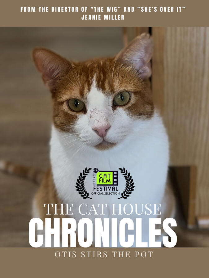 The Cat House Chronicles
